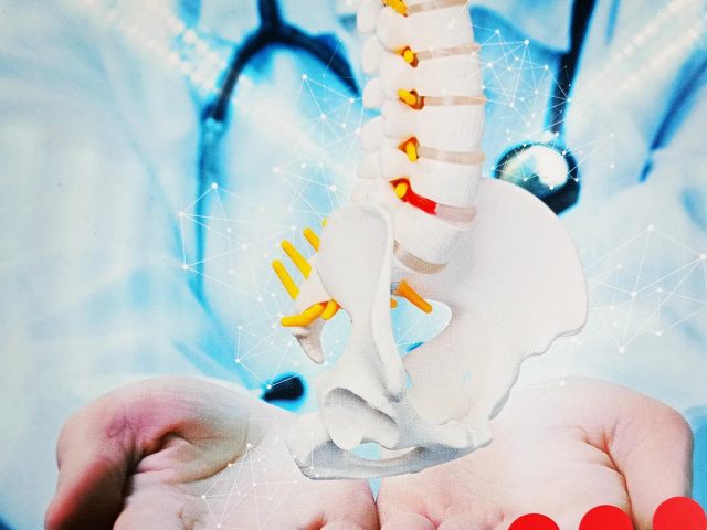 Kręgosłup twoją podporą